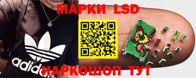 не бодяженный Камышлов