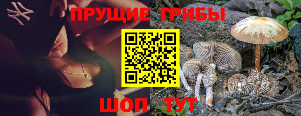 Куйбышев  Псилоцибиновые грибы Psilocybe  Вход с VPN 