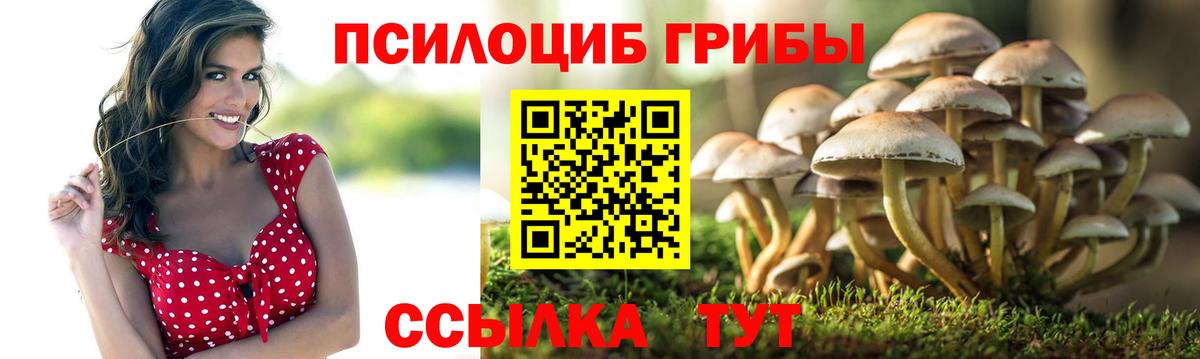 Галлюциногенные грибы GOLDEN TEACHER Куйбышев